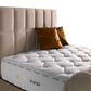 Golden Prime Boxspring Set